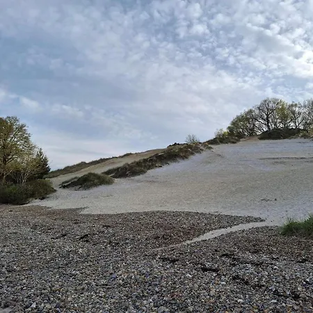 Tranquil Retreat Near *